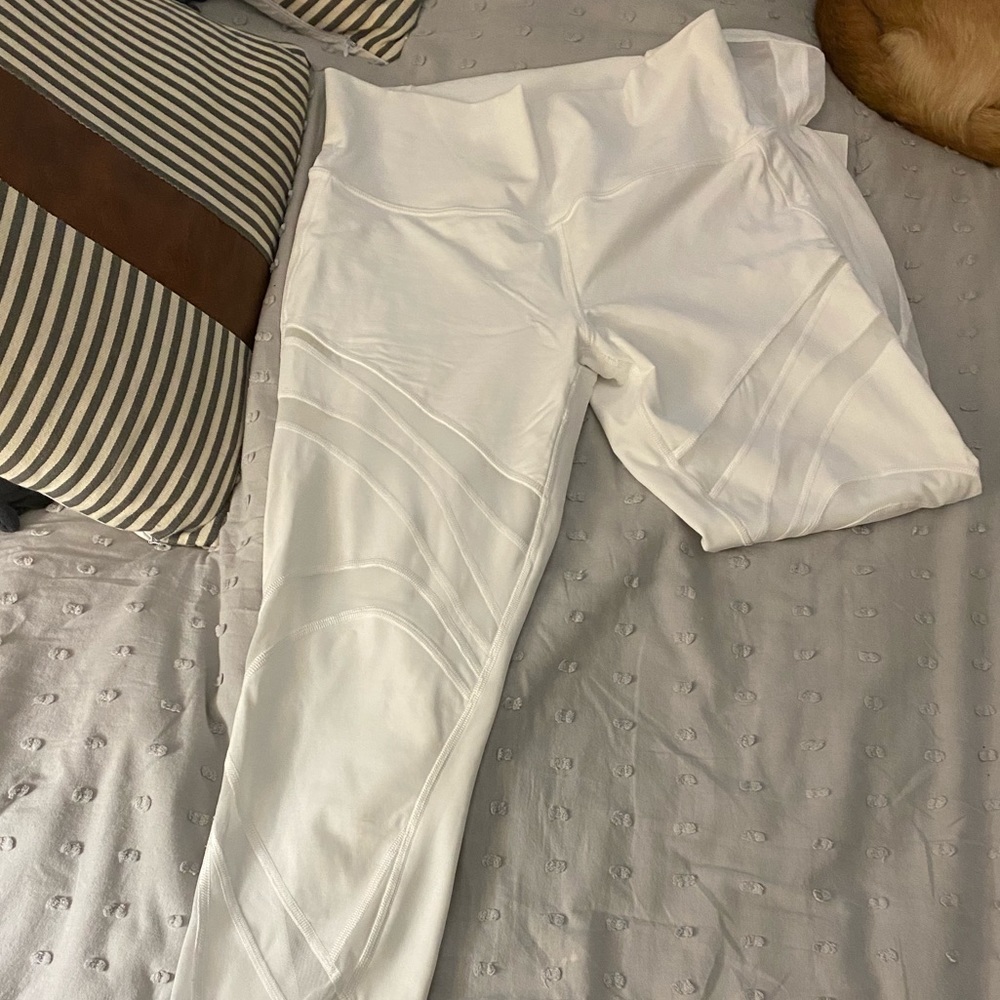 Wunder under HR mesh tight size 10